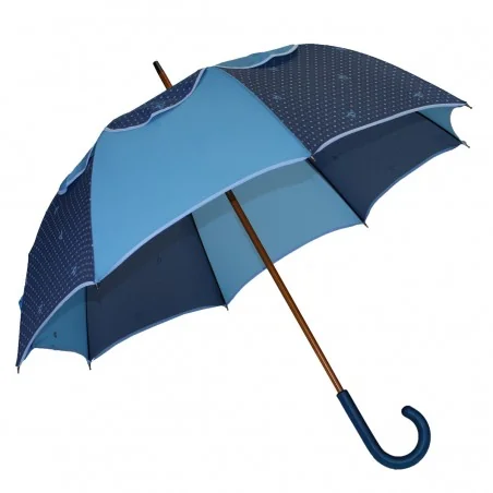 Blauer Passvent-Regenschirm...